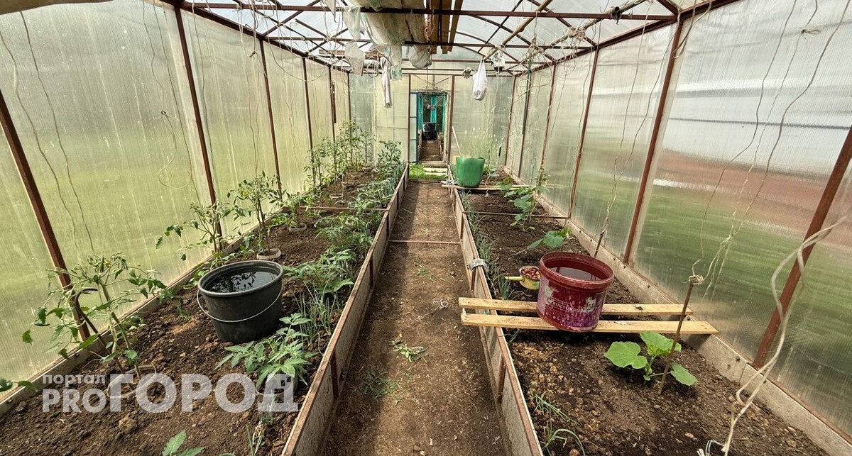    Из архива "Про Город"