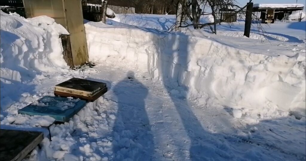 Мартовские хлопоты на пасеке: первые шаги к новому сезону и итоги зимовки пчёл