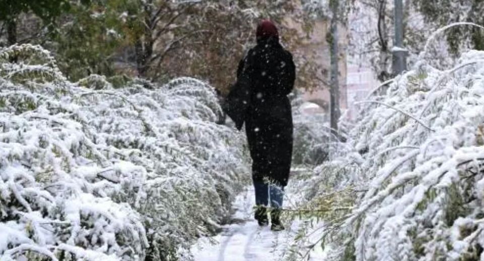    РИА «Новости»