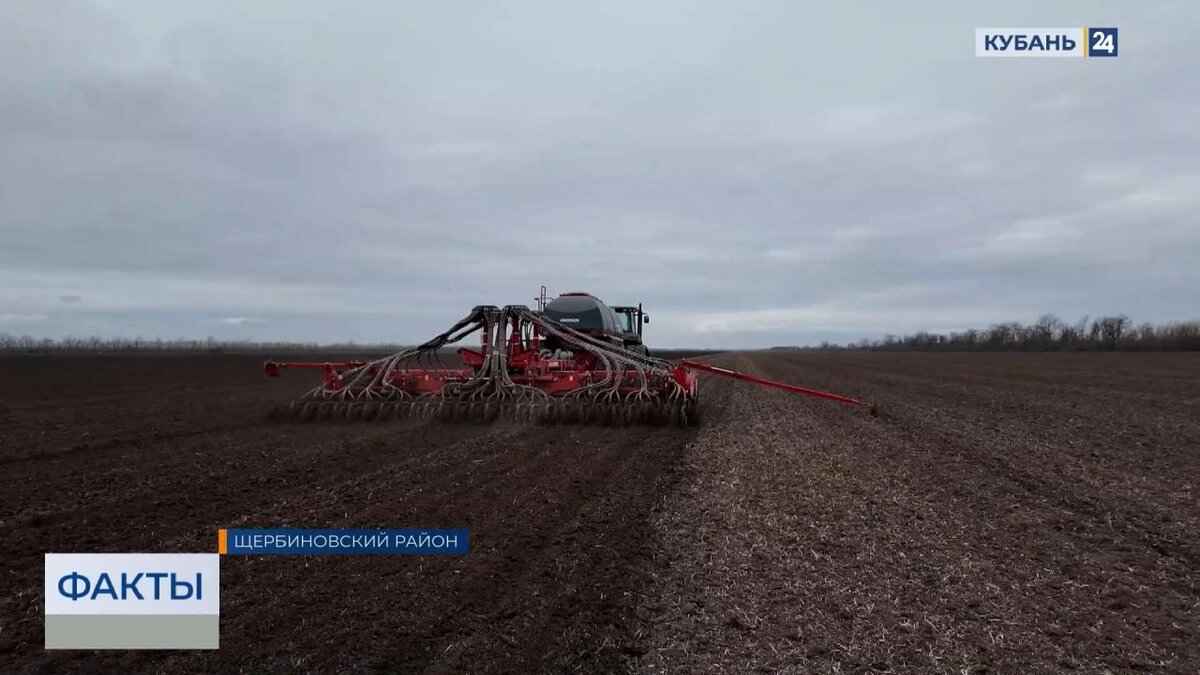    Скриншот видео телеканала «Кубань 24»