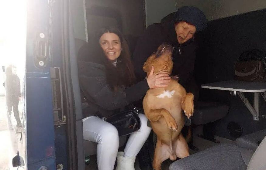    Трое курян возвращаются домой: итоги переговоров Москальковой и роль Беларуси в обмене