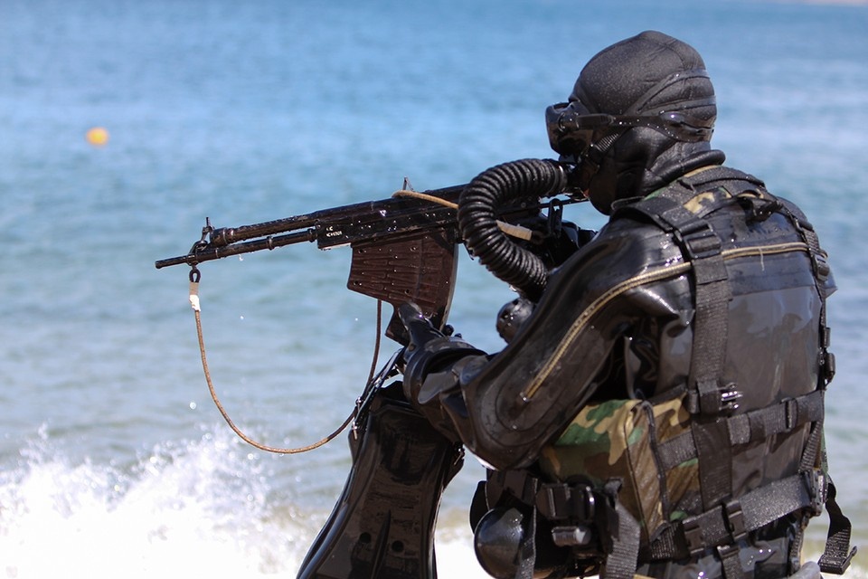    Звуков стрельбы можно не опасаться. фото: mil.ru