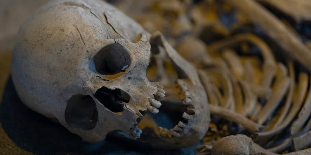 В геноме человека обнаружили «призраков»