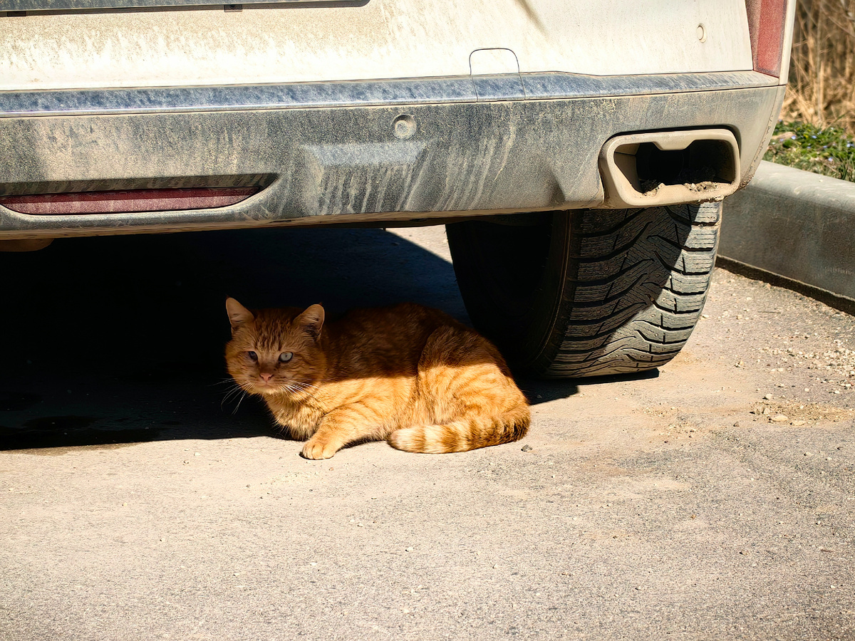 Сегодня. Фото автора канала