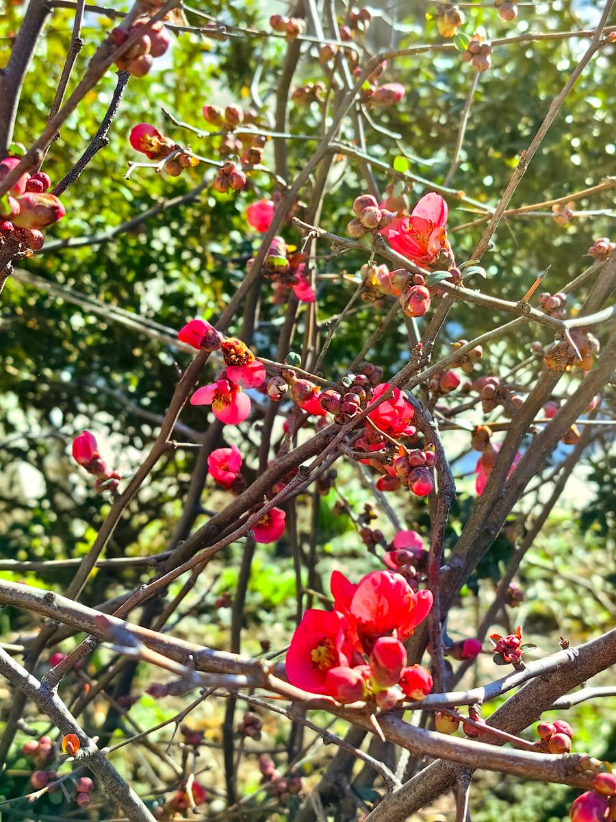 Сегодня. Фото автора канала