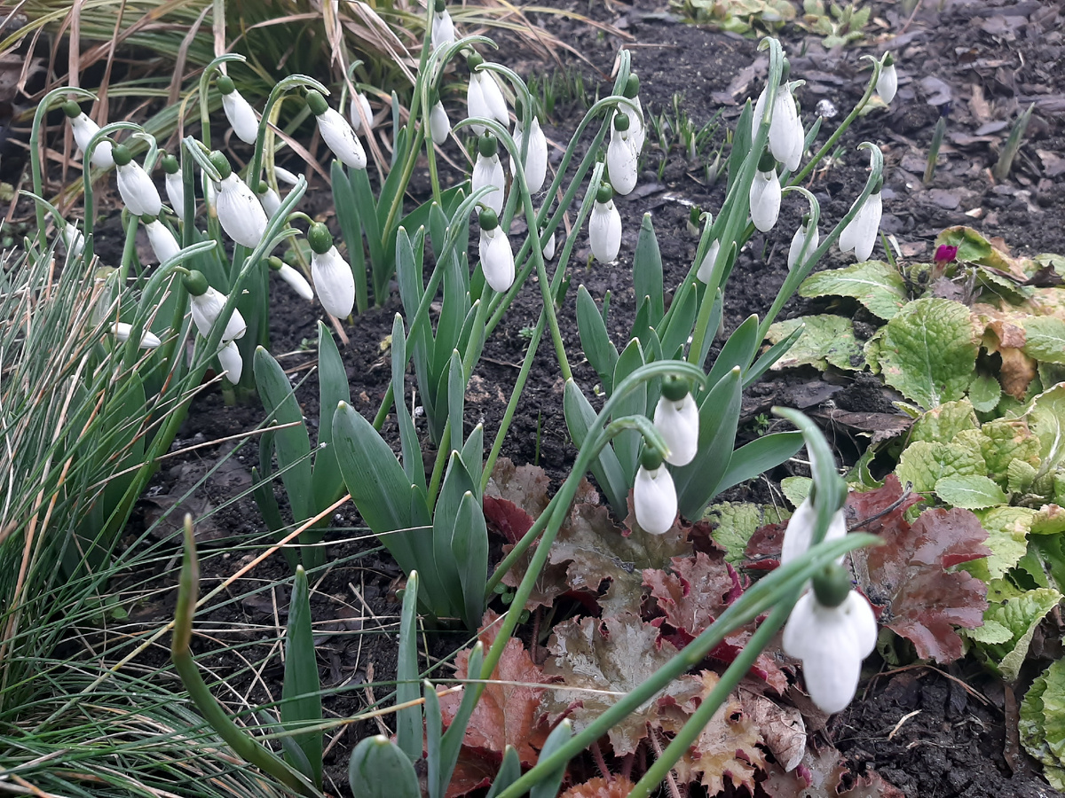 Закрыты- холодно и пасмурно