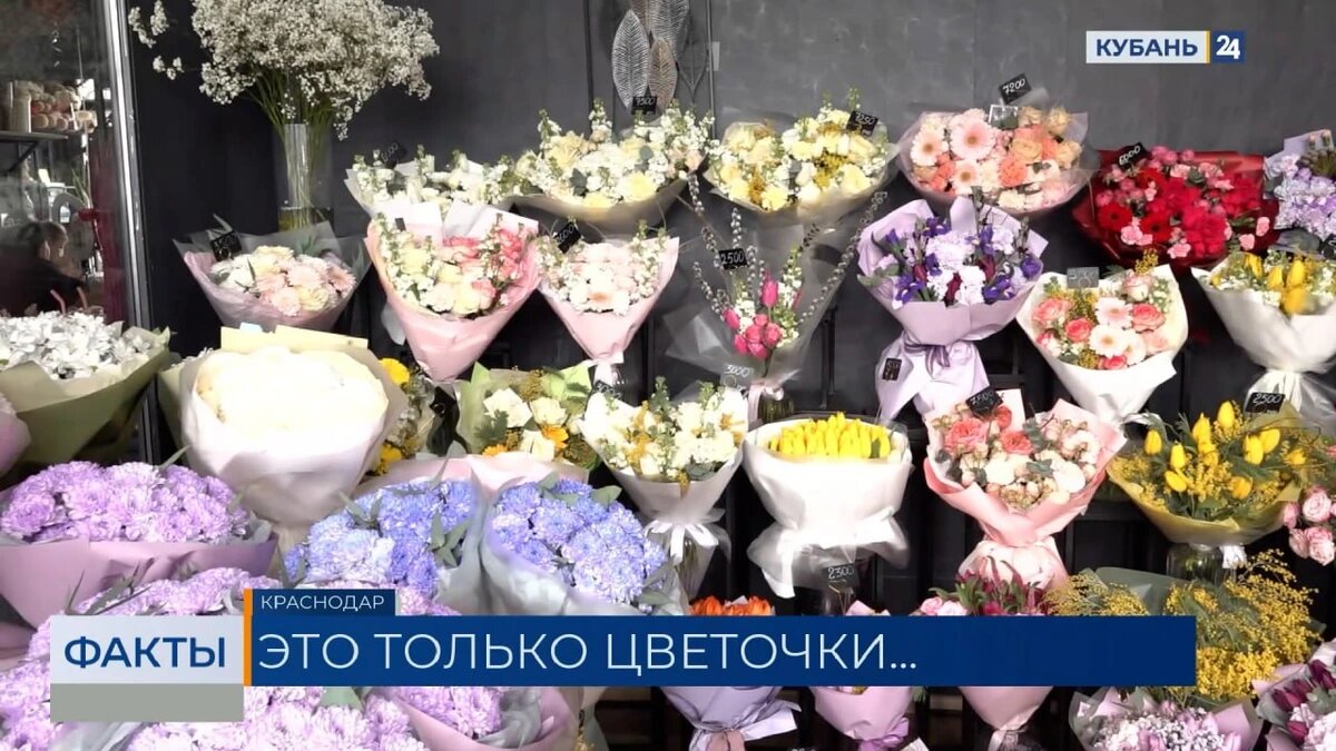    Скриншот видео телеканала «Кубань 24»