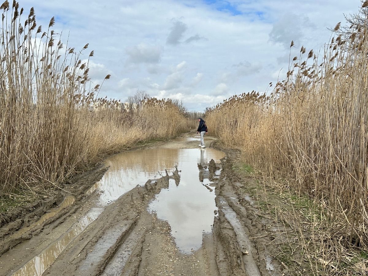 Весенние лужи после мартовского дождя.