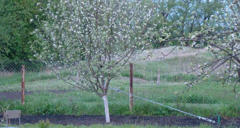    Фото Анастасии Дмитриевой