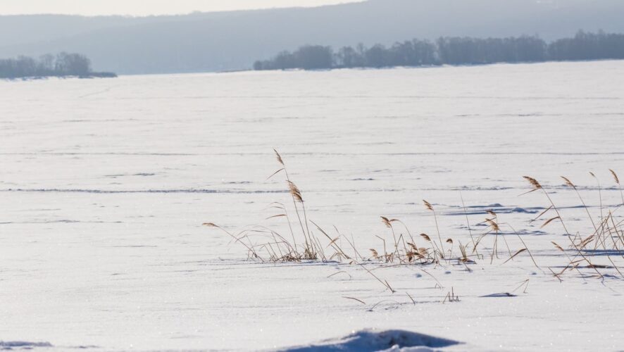    Фото: KazanFirst