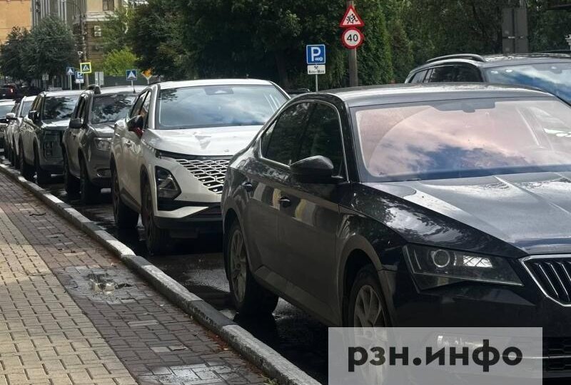 В России предложили компенсировать утильсбор за машины многодетным родителям