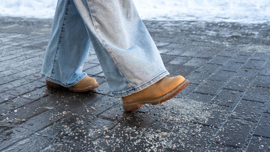    Автор фото: DimaBerlin/Shutterstock/FOTODOM