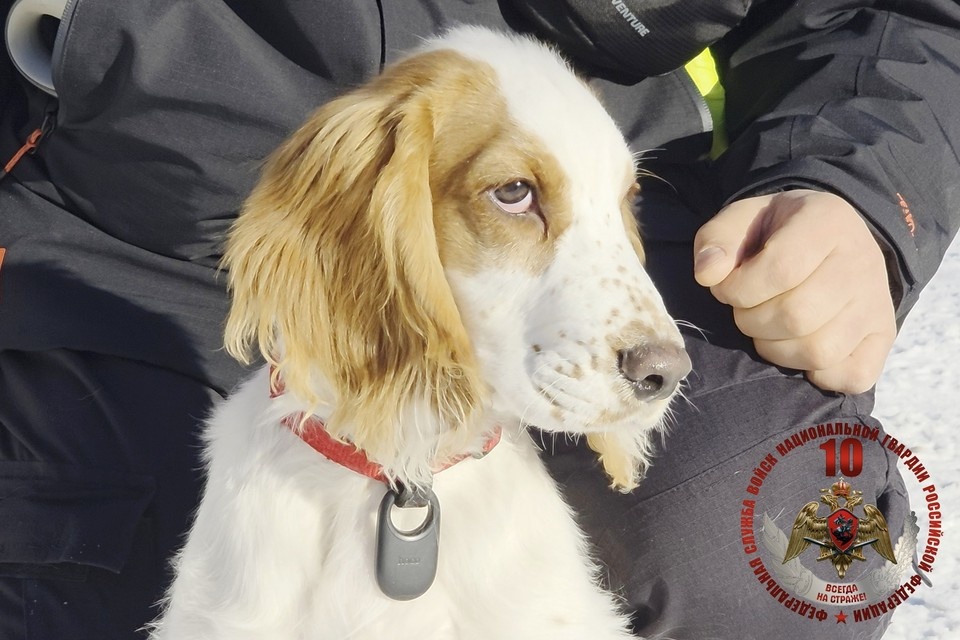    Фото: пресс-служба Росгвардии по СПб и ЛО