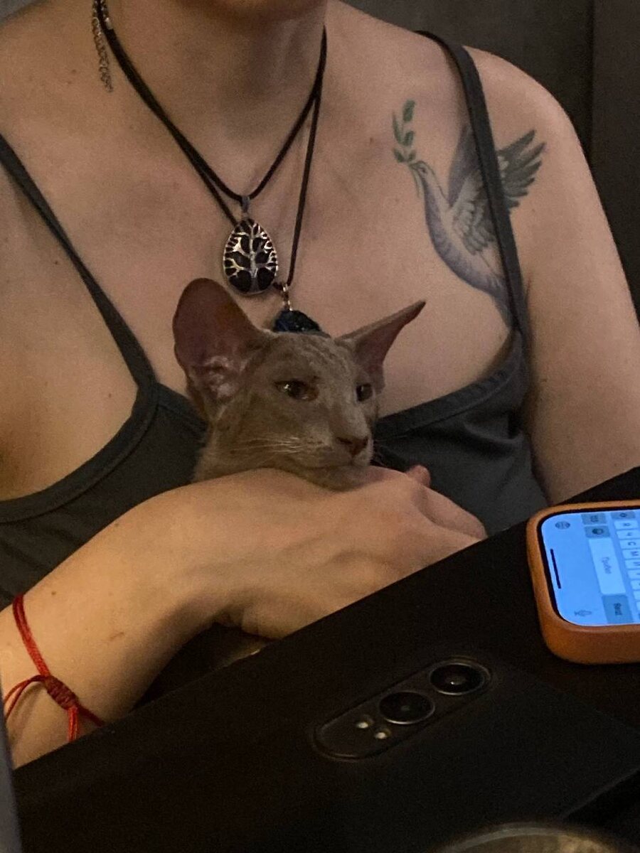 Вот Гриняша в первый вечер у нас.