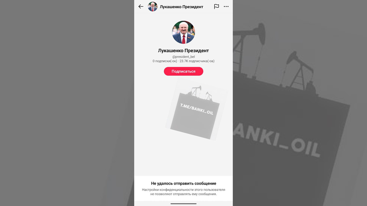    Лукашенко закрыл личку в TikTok. Вчера он обещал прочитать все жалобы женщин на мужчин 8 марта