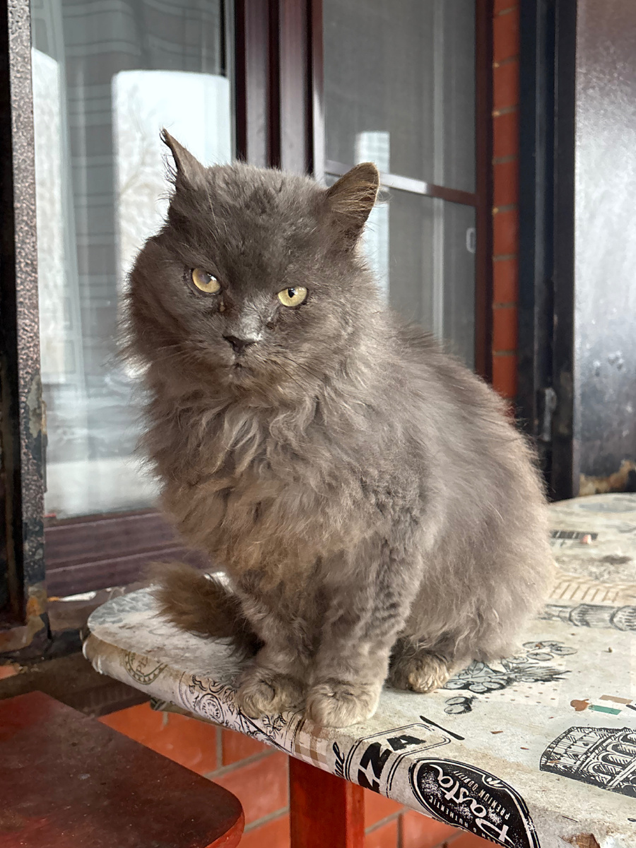 Дыма, возвращайся к нам скорее! Везде фото автора.