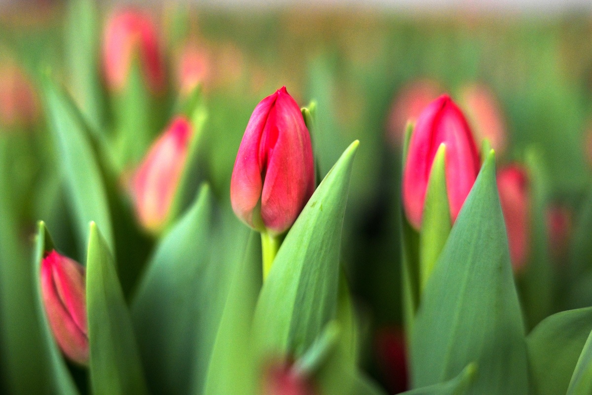    Александр Кряжев/ РИА Новости