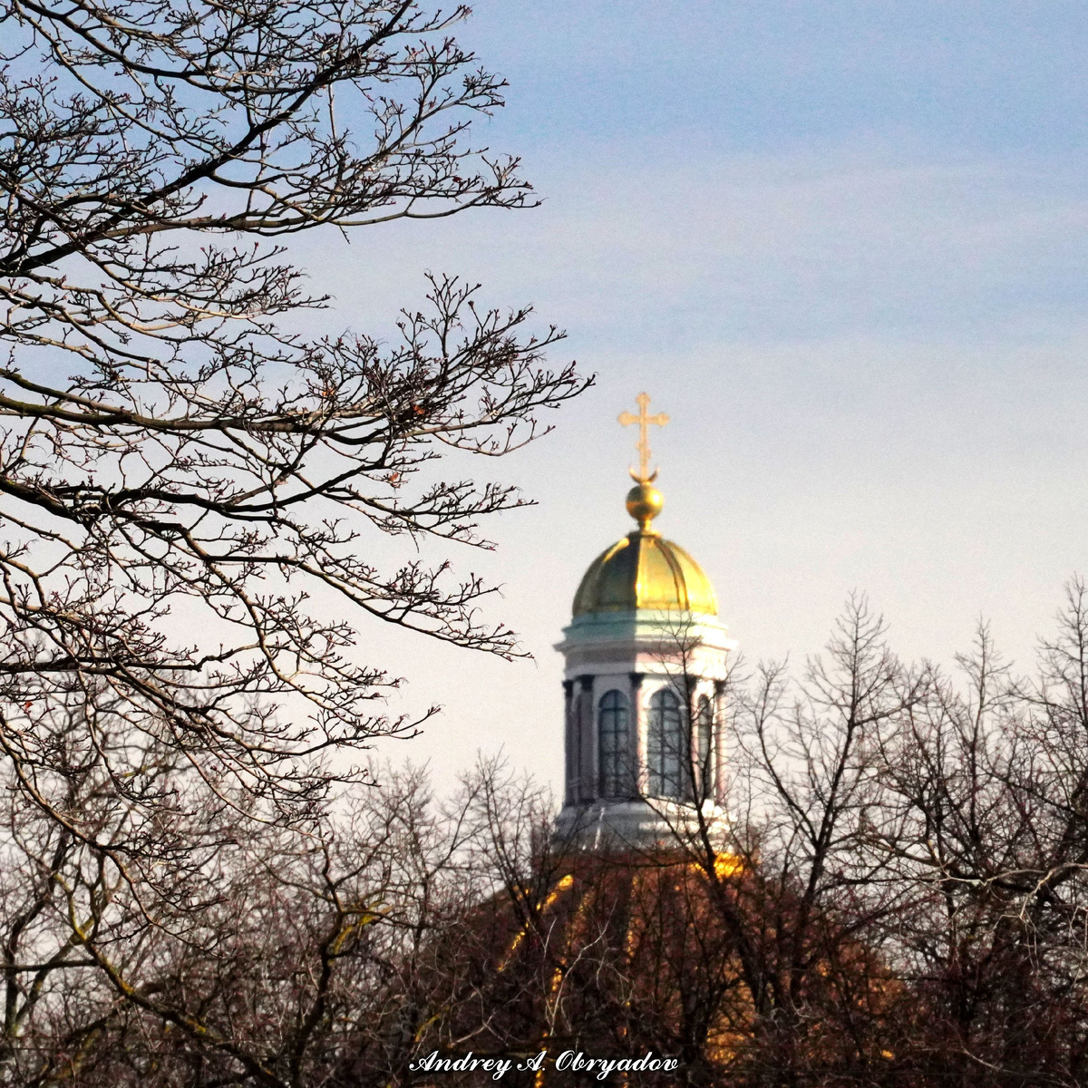 Маковка Исакия в обрамлении голых (пока) веток.