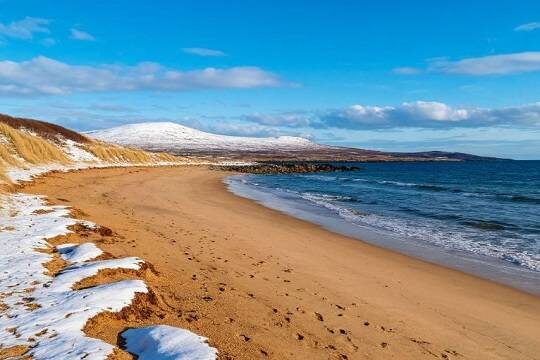    Более 50 китов выбросились на берег пляжа в Шотландии (фото: shedevrum.ai)