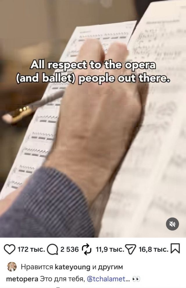    Фото: @metopera (Instagram*)