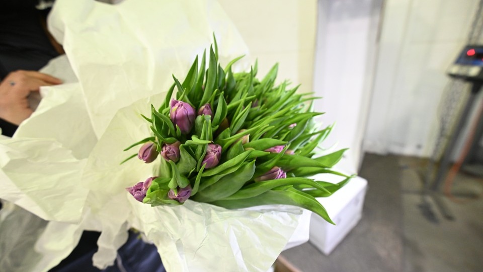 Юрий Слюсарь провел традиционный губернаторский прием к 8 Марта