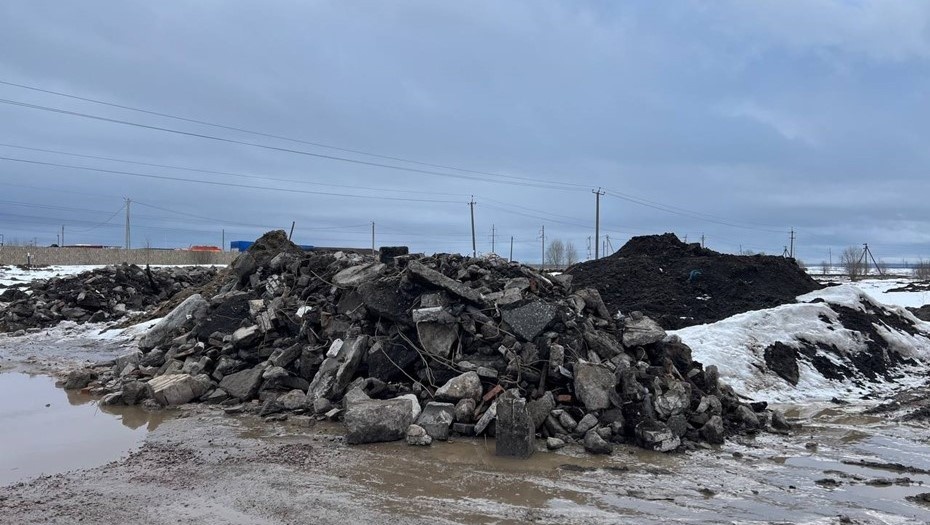    Автор фото: t.me/ecology47