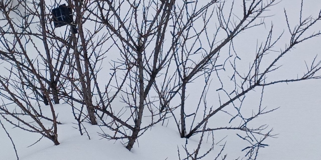 В Башкирию придет аномальный холод