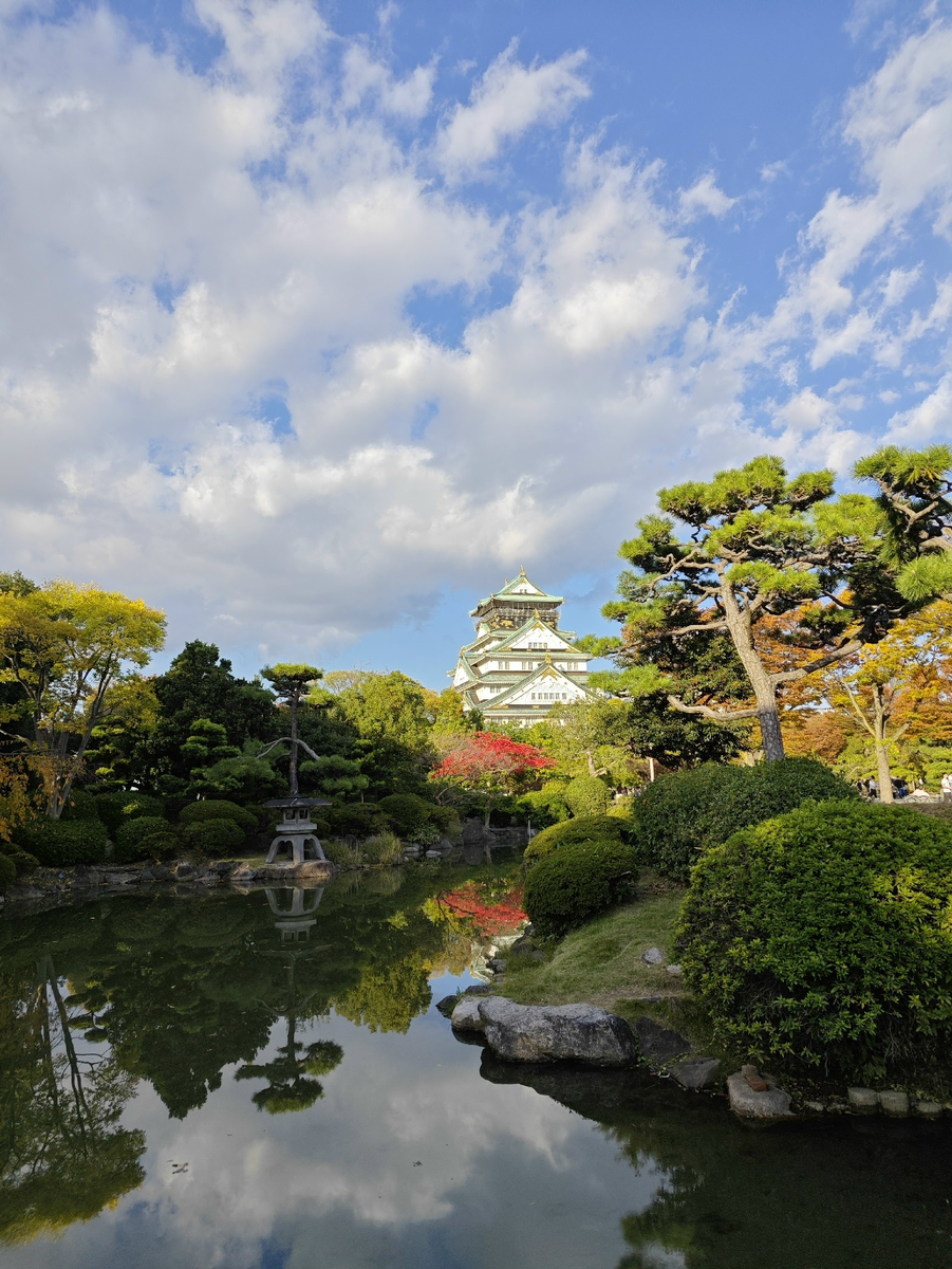 Сезон красных кленов (момидзи) у замка Осаки. Дивно, замечательно!