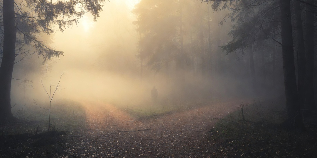 Ответственность и цена выбора