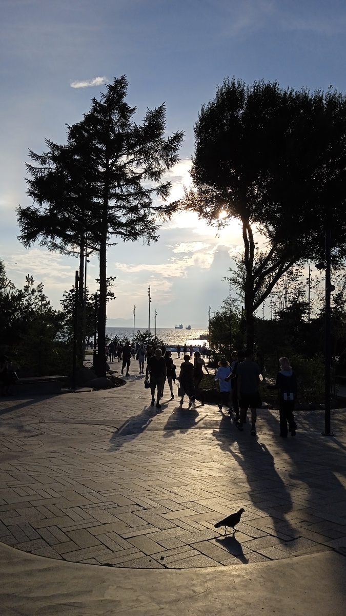 Улица адмирала Фокина и выход на Спортивную набережную