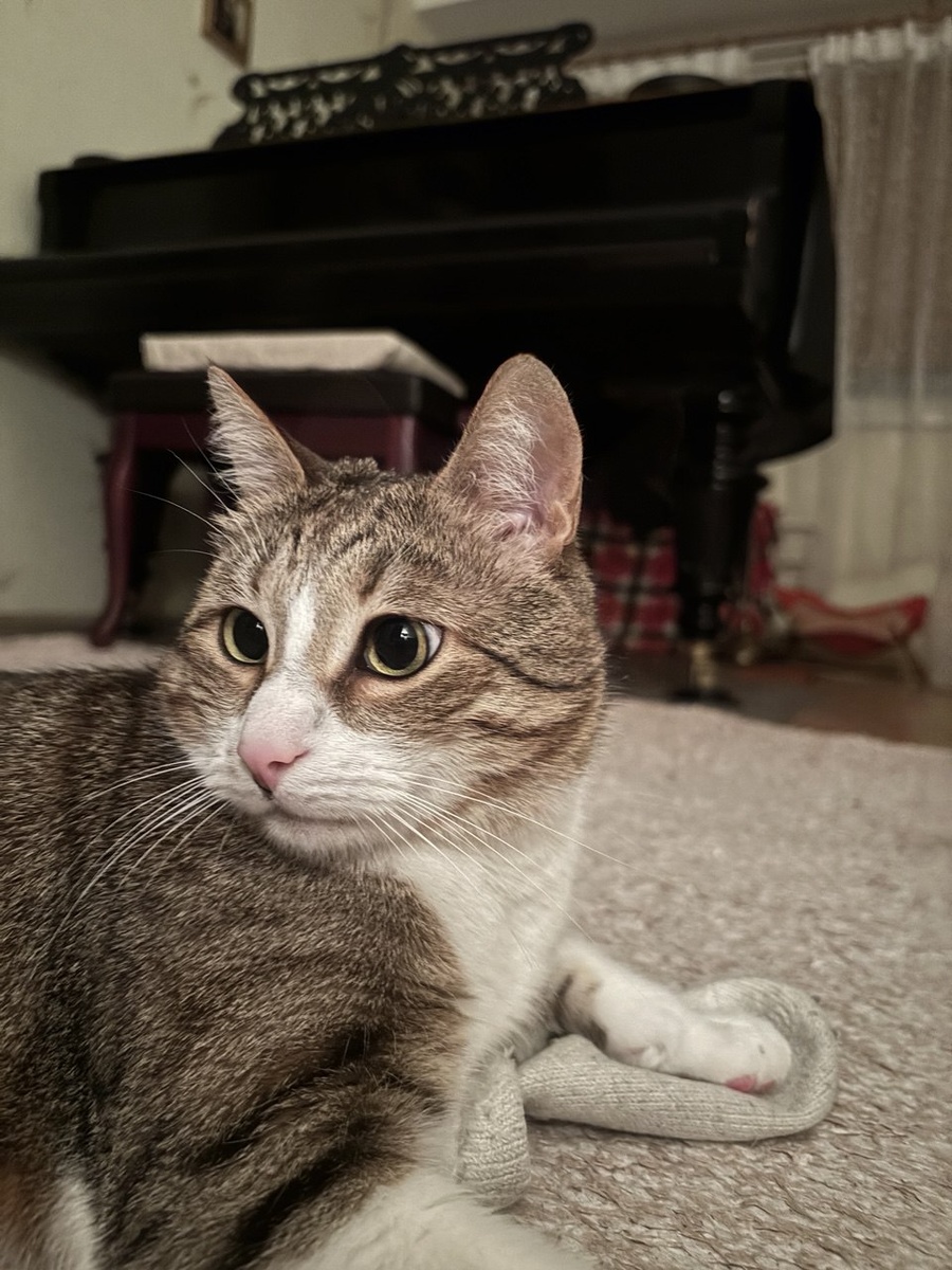 Вы про меня? 