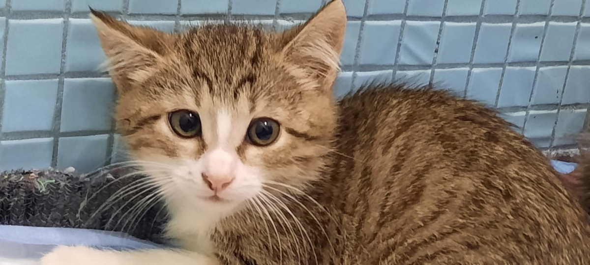 Хоть и малыш был, а ух какой харизматичный!