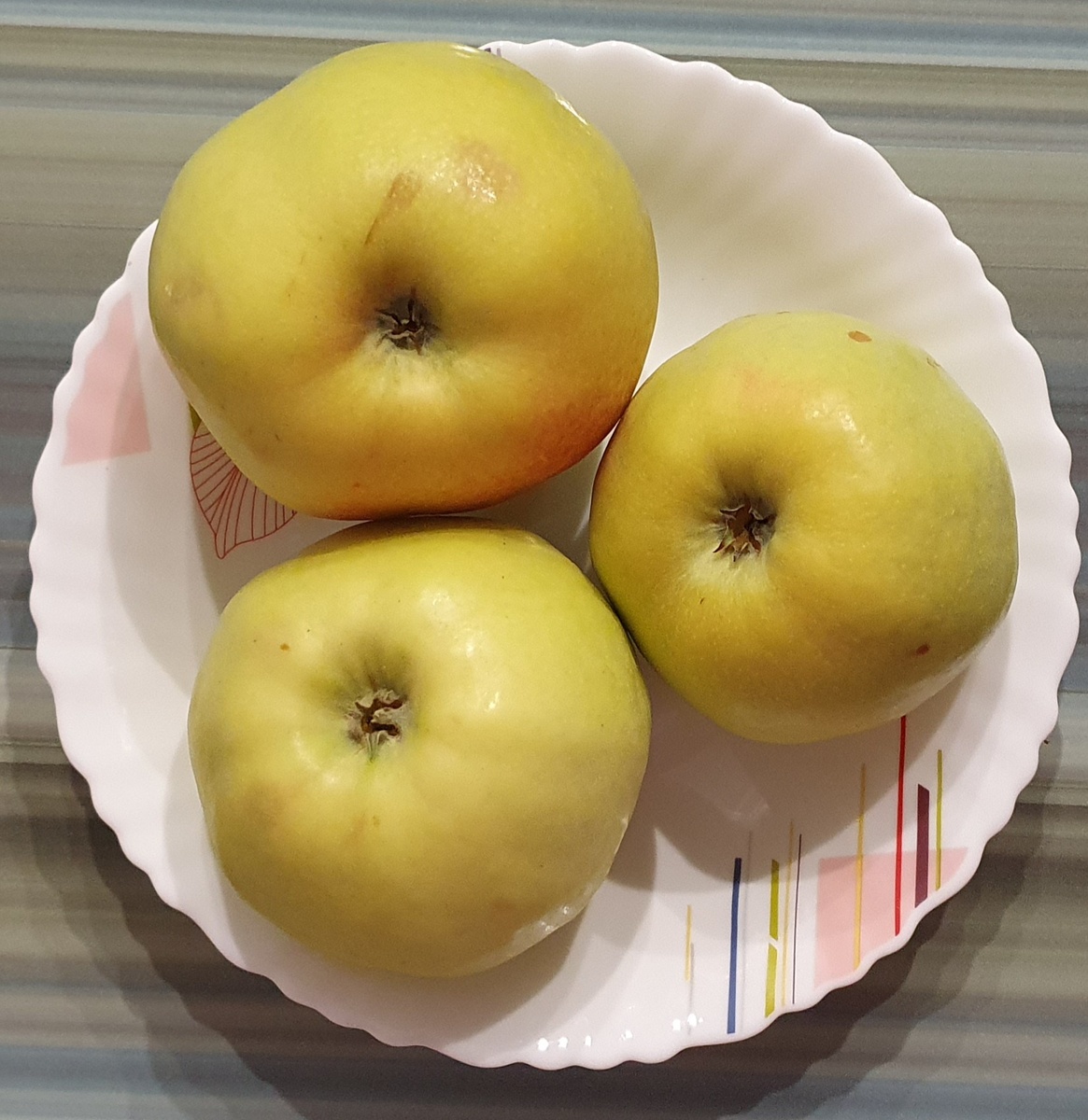 Яблоки сорта "Богатырь". Фото автора.