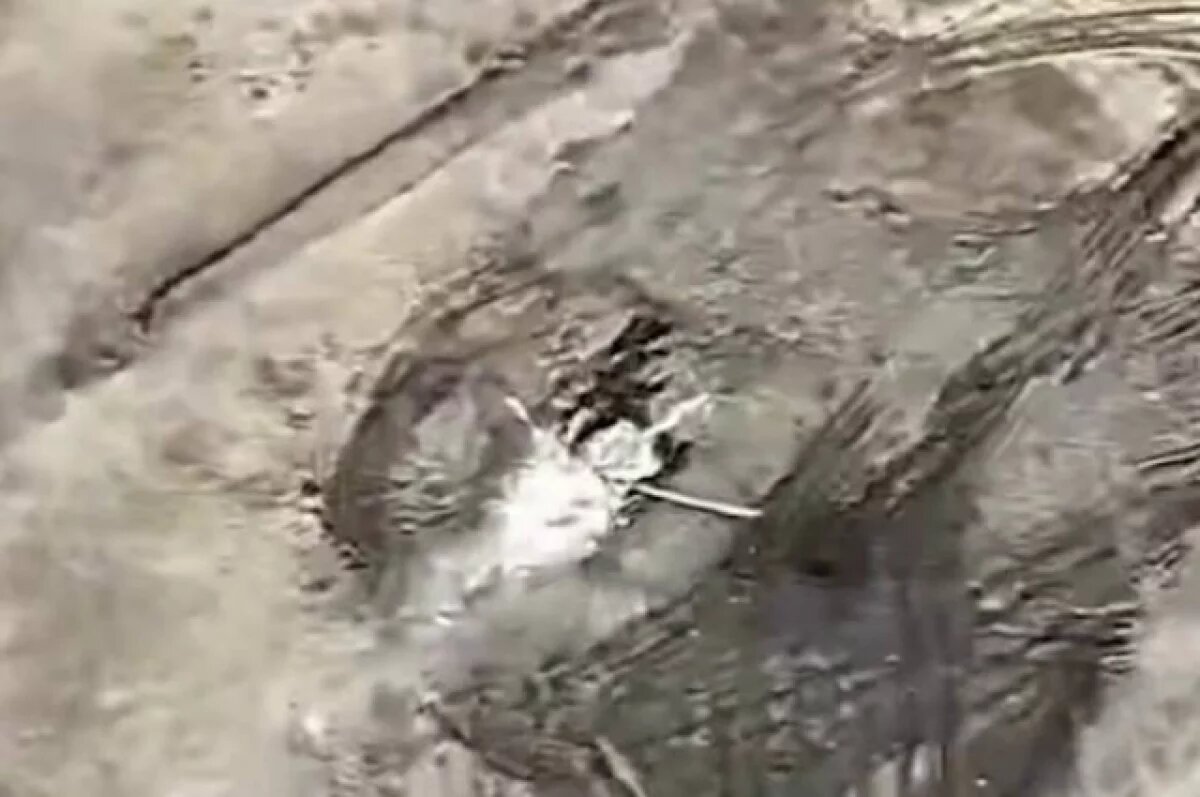    Появились кадры уничтожения вертолета Ми-8 ВСУ в Днепропетровской области