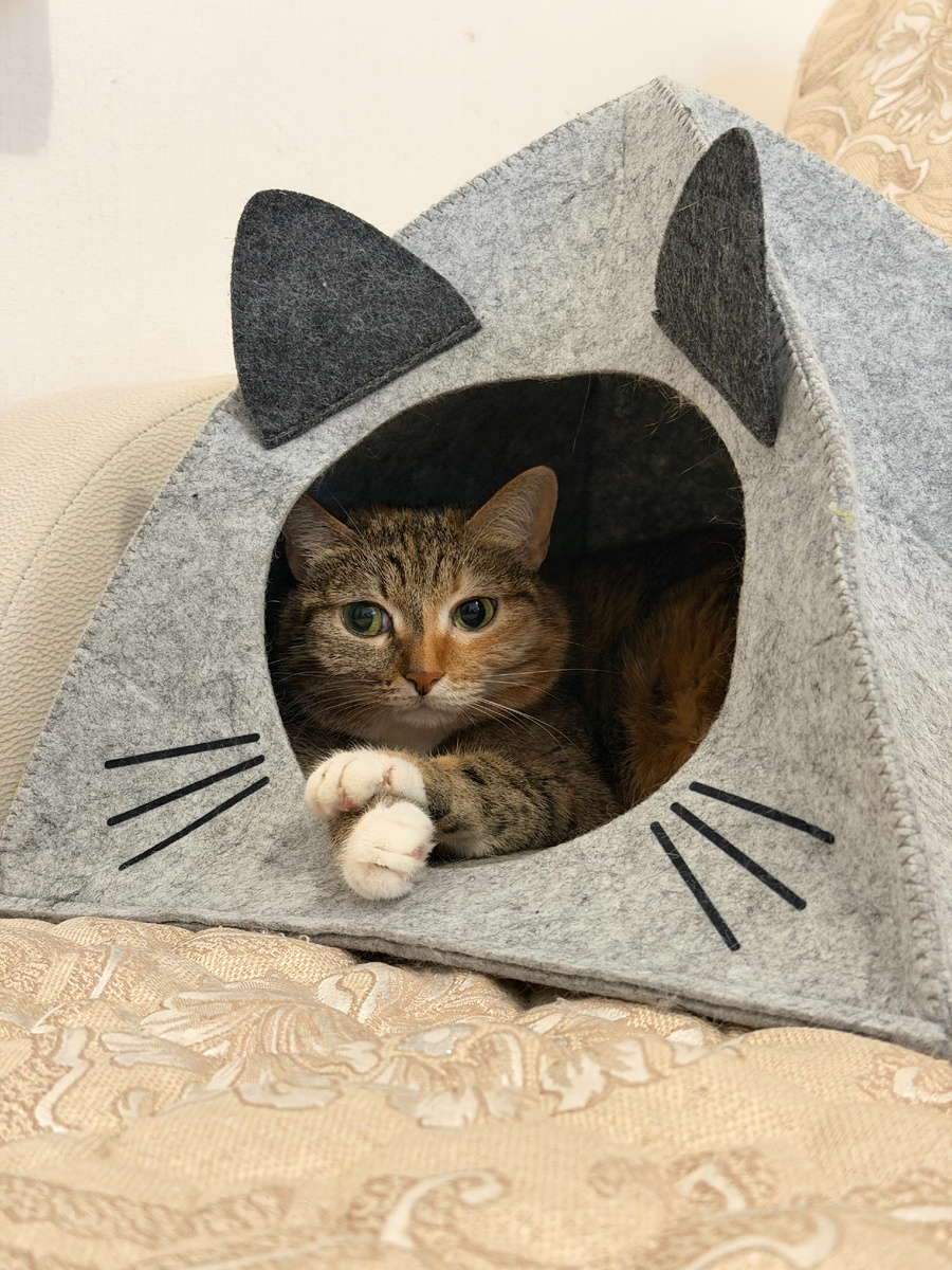 Люся очень грустила одна