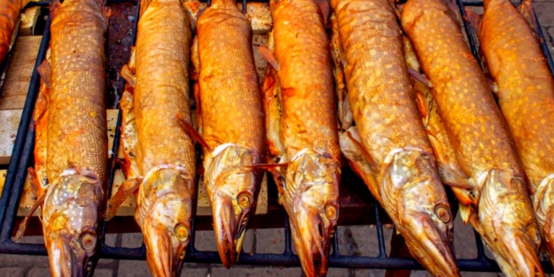 Какую речную рыбу лучше всего коптить: личный рейтинг 5 видов и главные правила горячего копчения