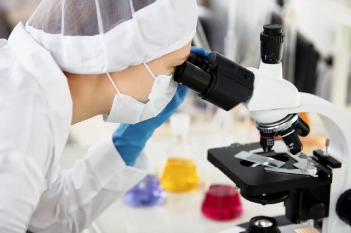    В России родился первый зачатый методом ЭКО жеребенок, его назвали Эконика