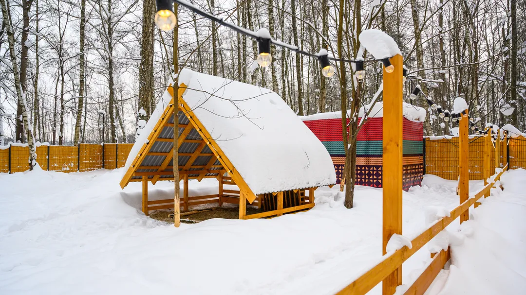 Фото: медиасток.рф