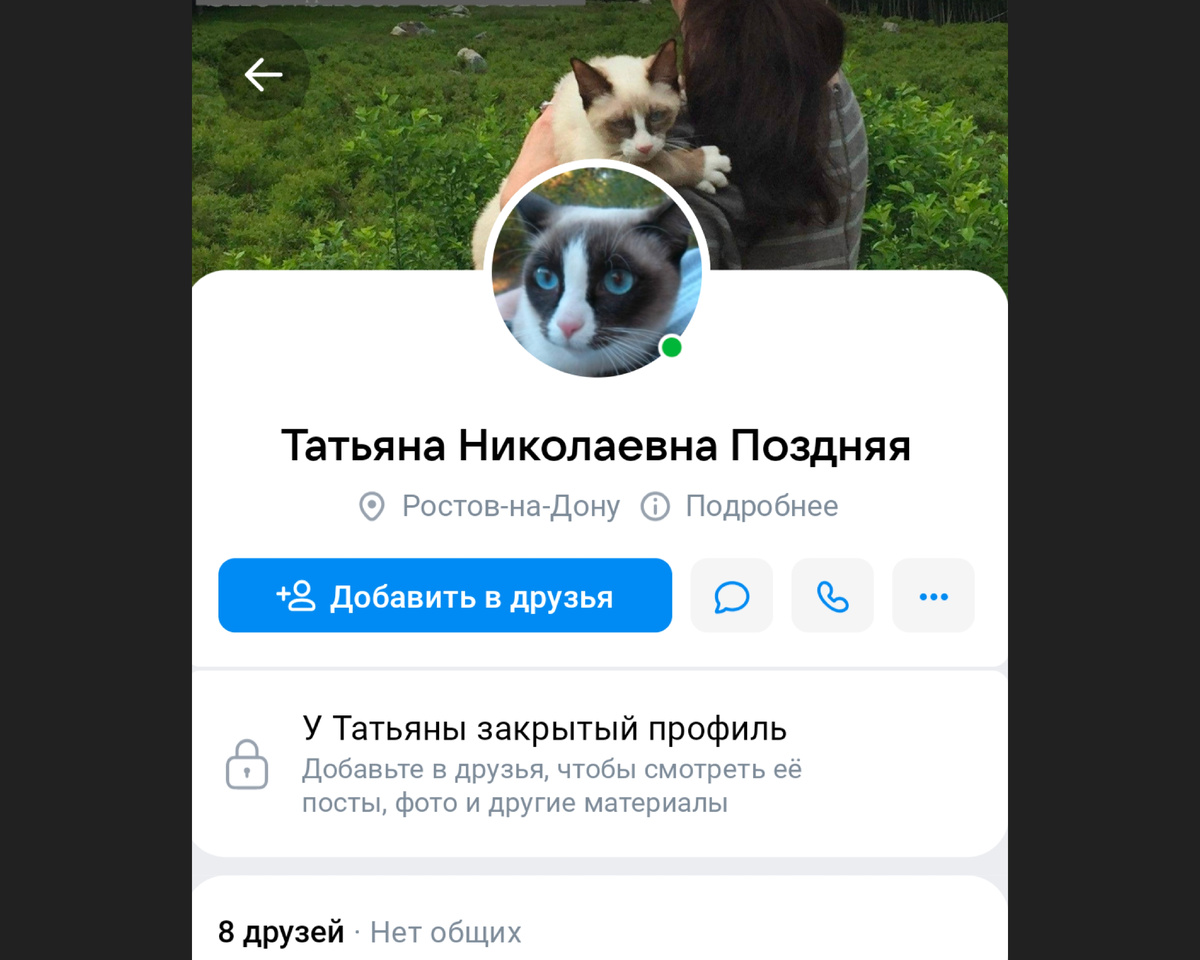 Скриншот канала ВК