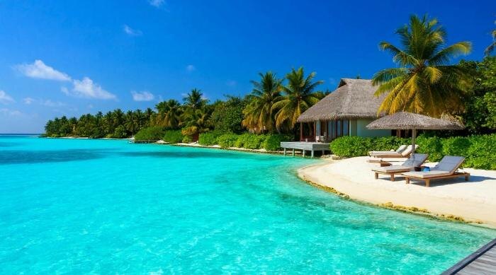 Обложка © Шедеврум / Life.ru