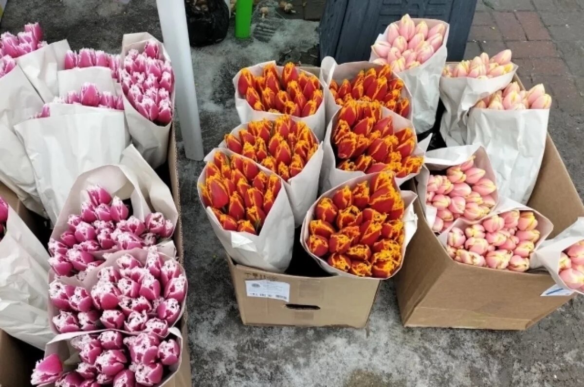    Администрация Калининграда проконтролировала торговлю цветами к 8 марта