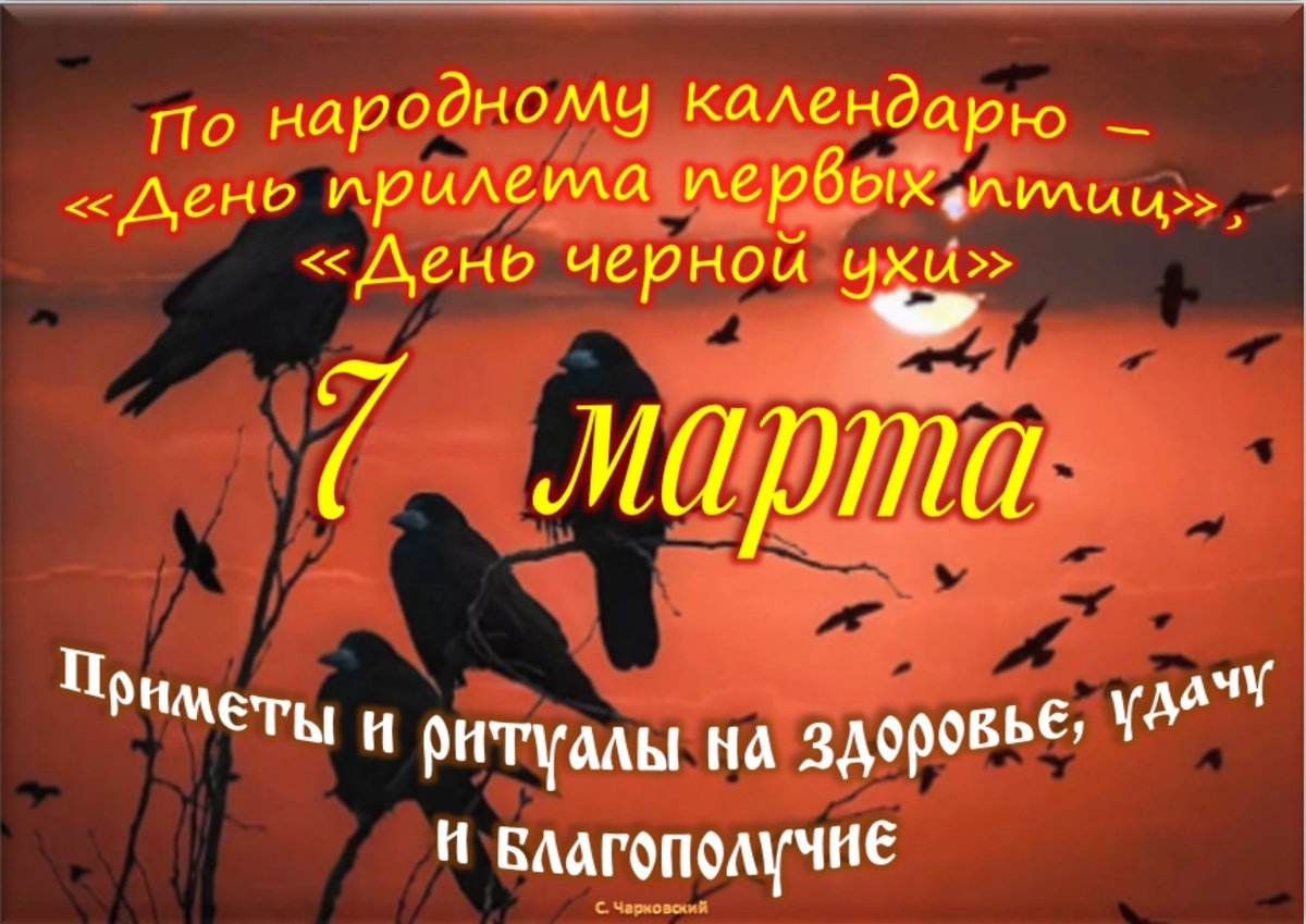 Встречаем новый день