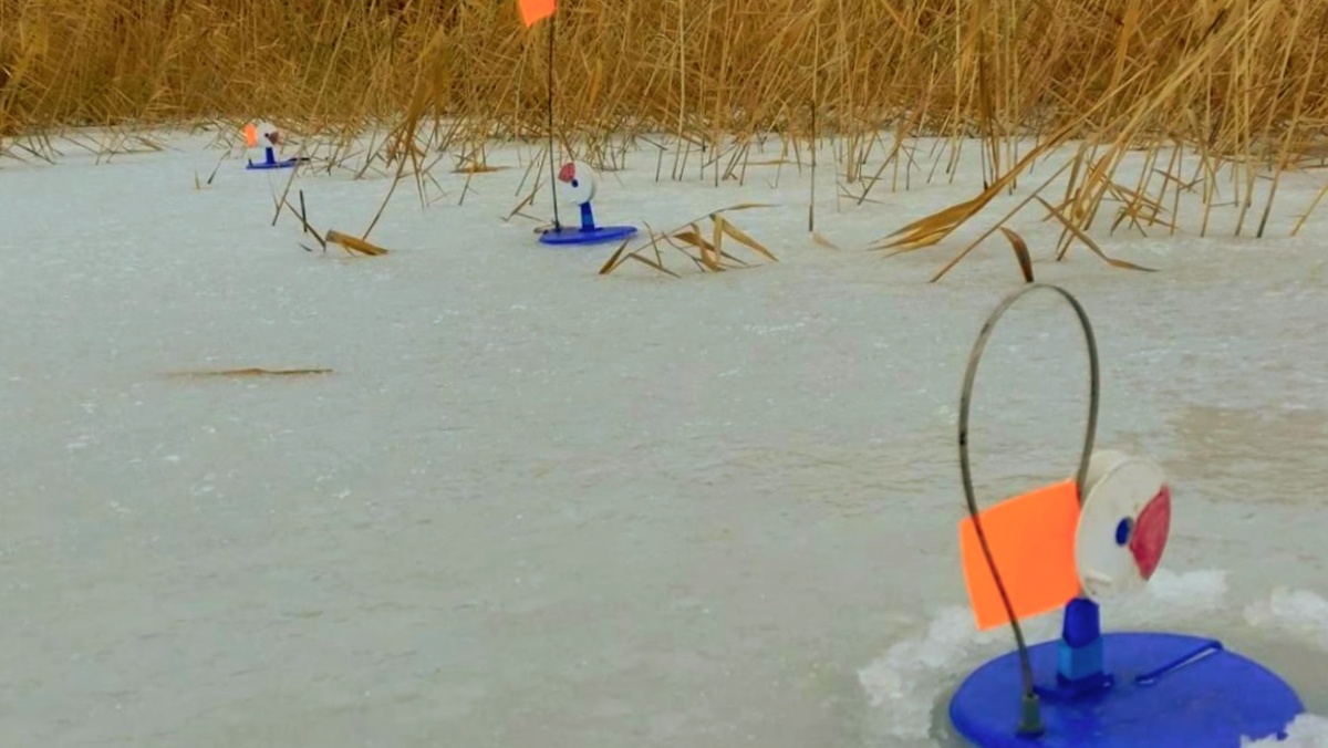 Жерлицы на щуку