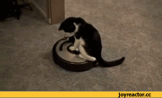 Кот уже есть, а такого пылесоса пока ещё нет