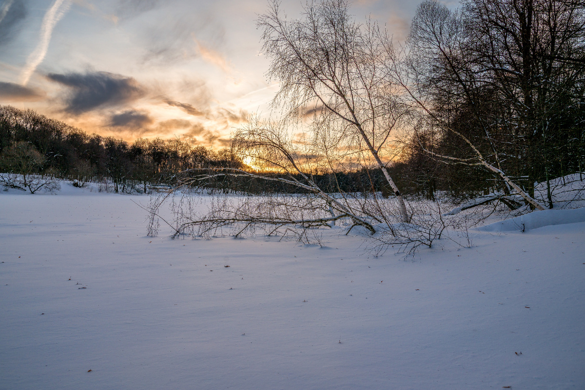 Встречаем рассвет на Верхнем Кузьминском пруду