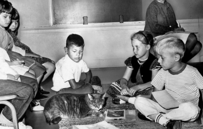 Полосатая легенда калифорнийской школы