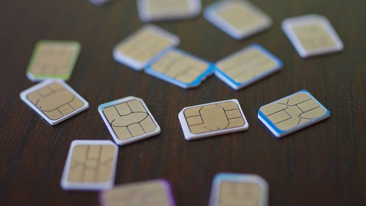    Фото: Shutterstock