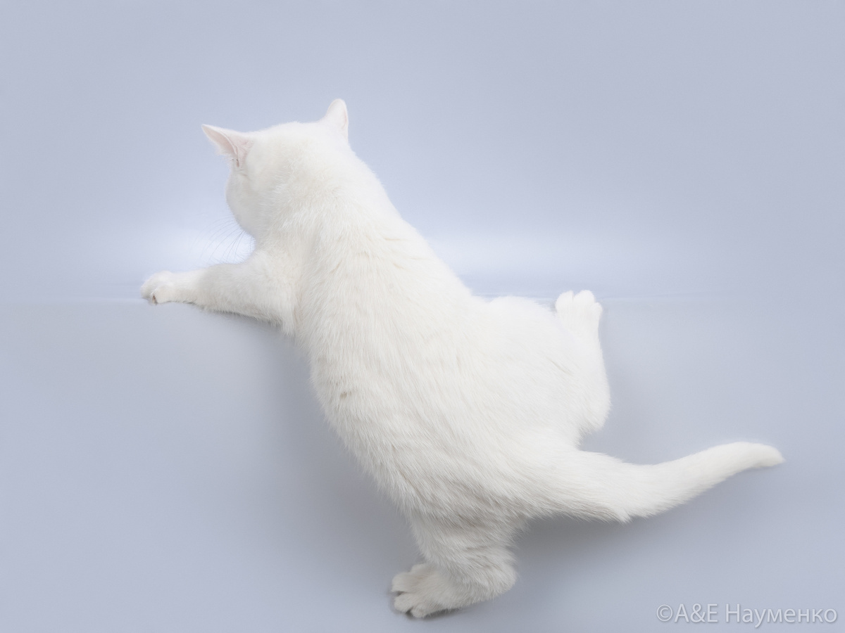 Давайте разбираться!