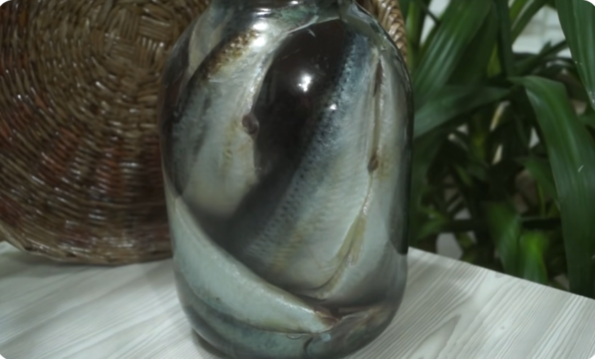 Селёдку в магазине не покупаю, солю сама. Проще не бывает, а вкус как из бочки...