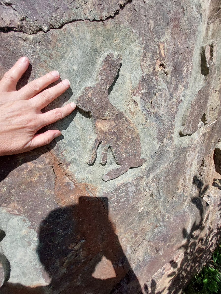 Фото автора. Карелия